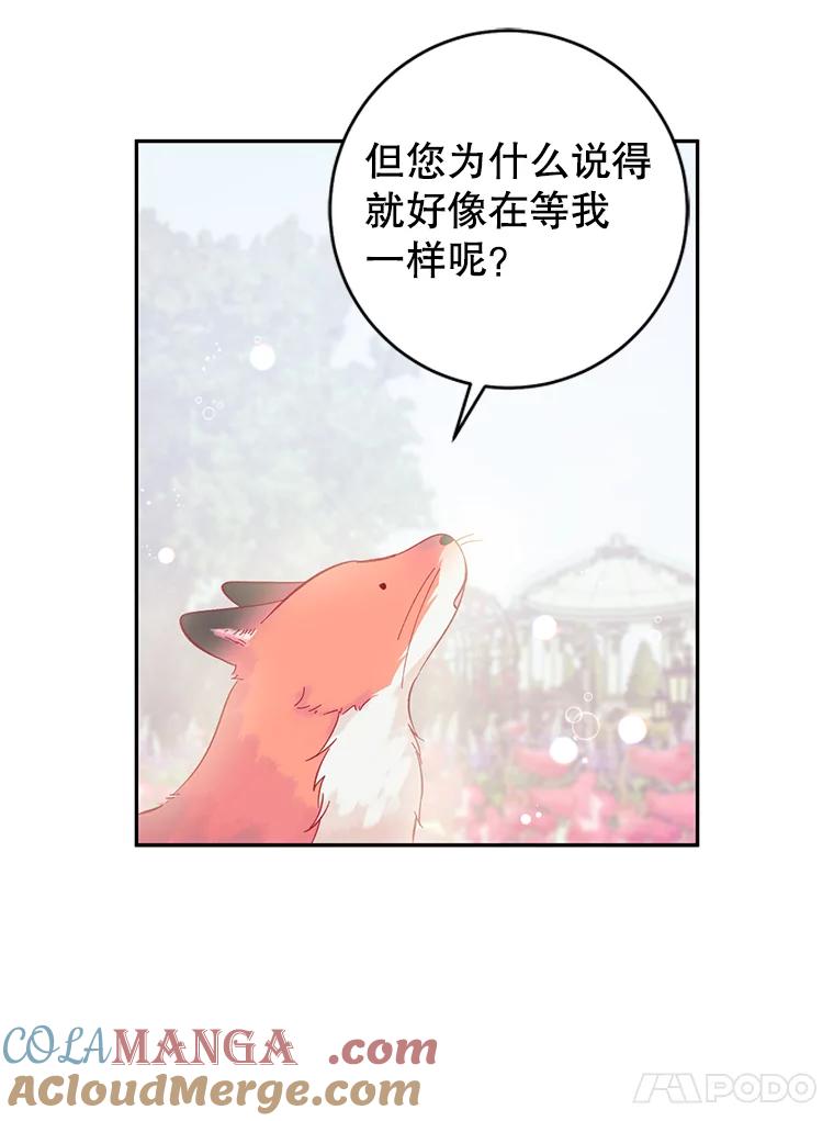只需轻握我的手 12.狐狸 第52页