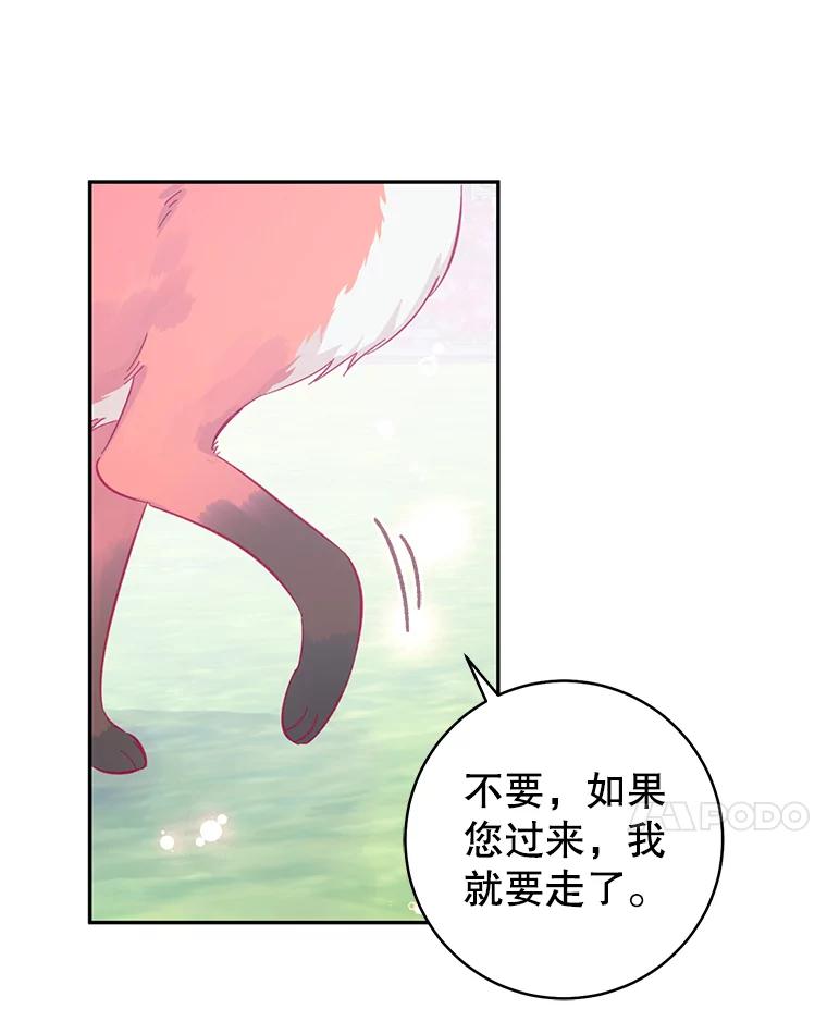 只需轻握我的手 12.狐狸 第20页