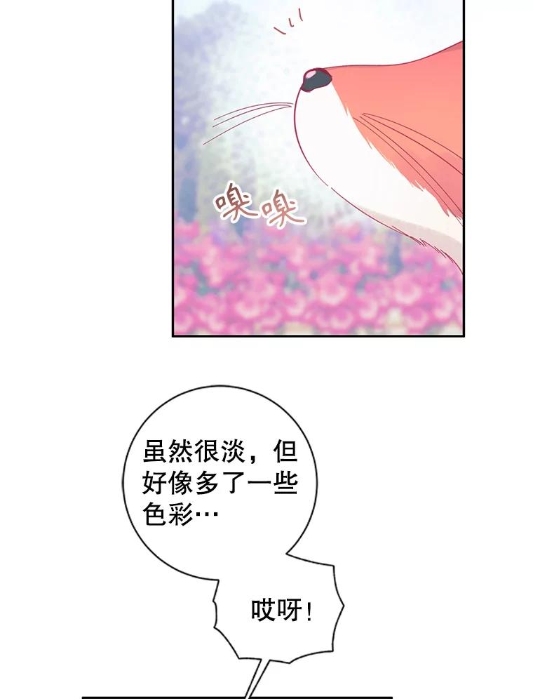 只需轻握我的手 12.狐狸 第5页