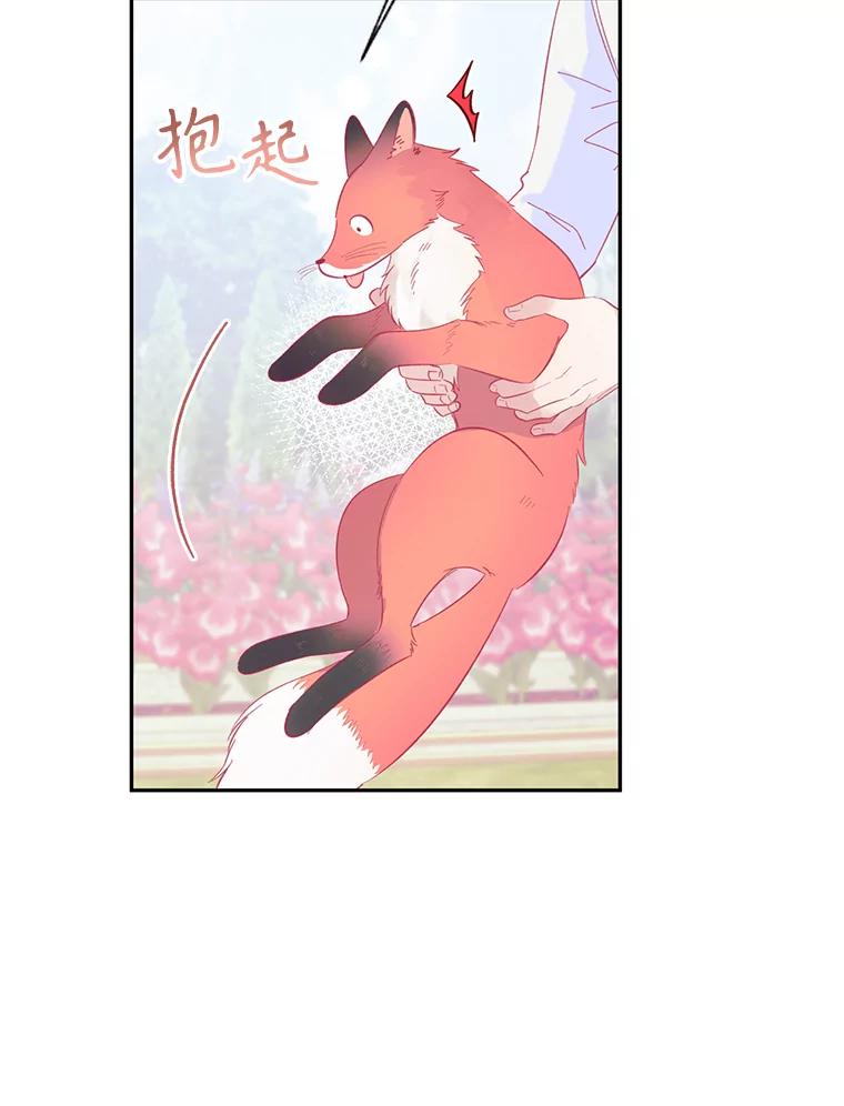 只需轻握我的手 12.狐狸 第6页