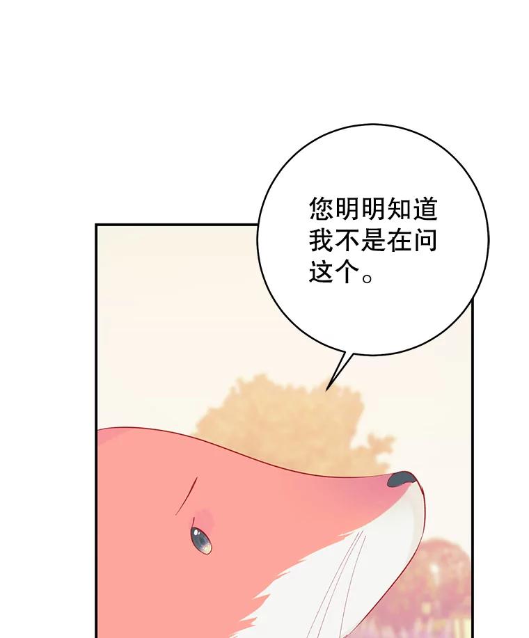 只需轻握我的手 12.狐狸 第66页