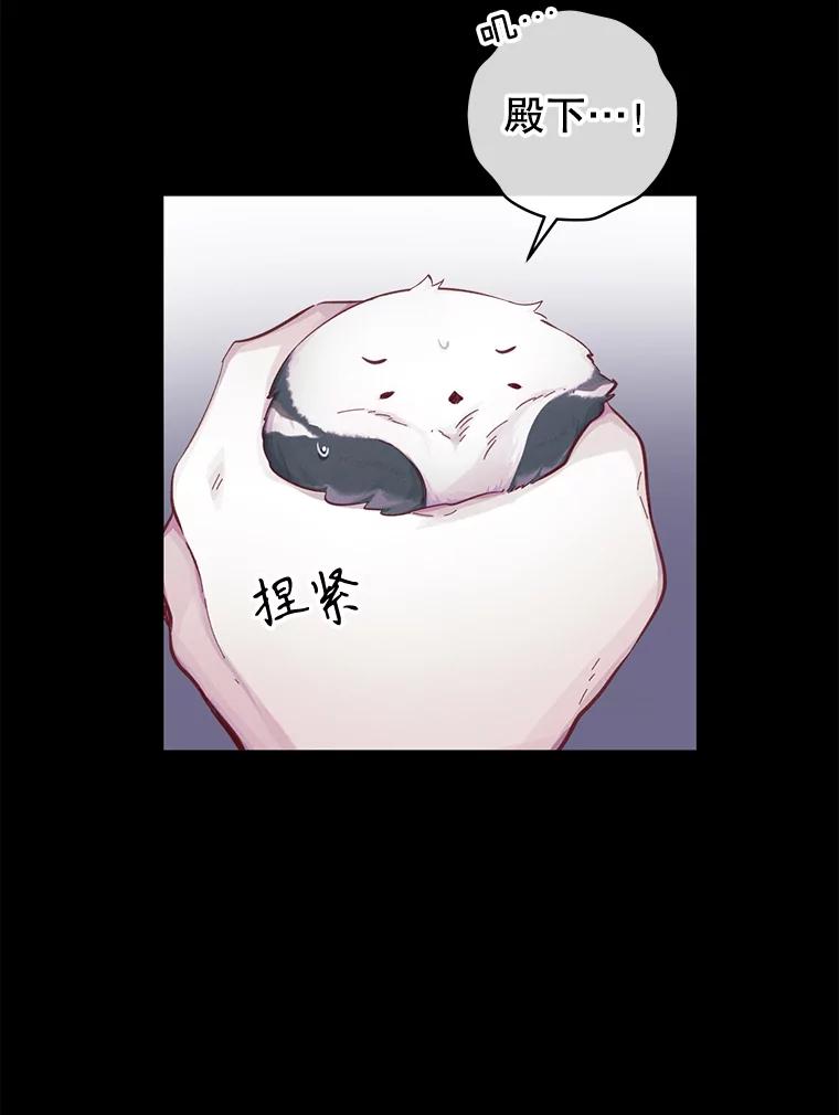 只需轻握我的手 12.狐狸 第36页