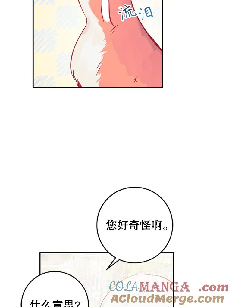 只需轻握我的手 12.狐狸 第49页