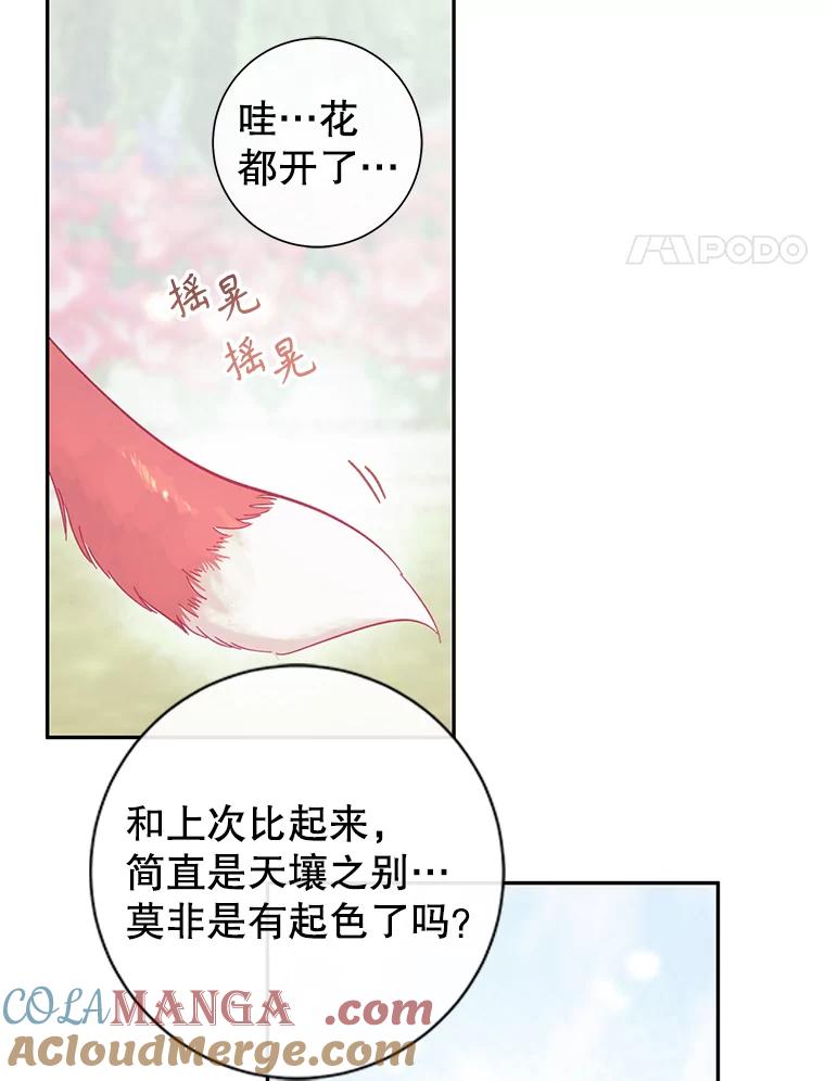 只需轻握我的手 12.狐狸 第4页
