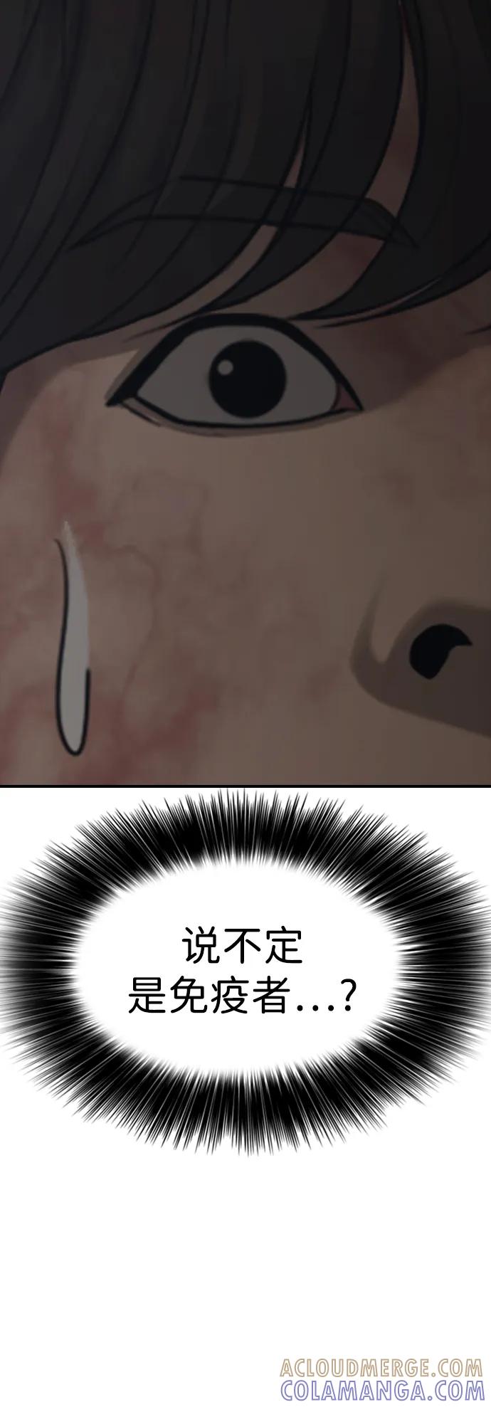 81.jpg