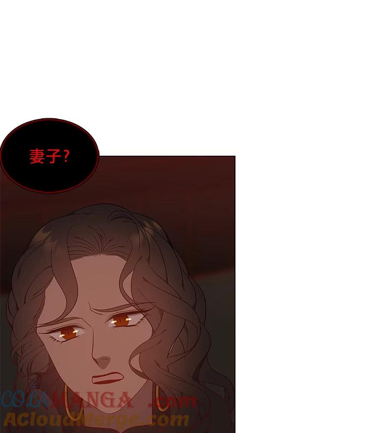 《魅惑狐狸》61.黎廷的条件 第77页