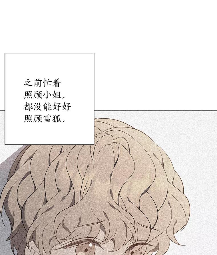 《魅惑狐狸》67.狐狸血的副作用 第84页