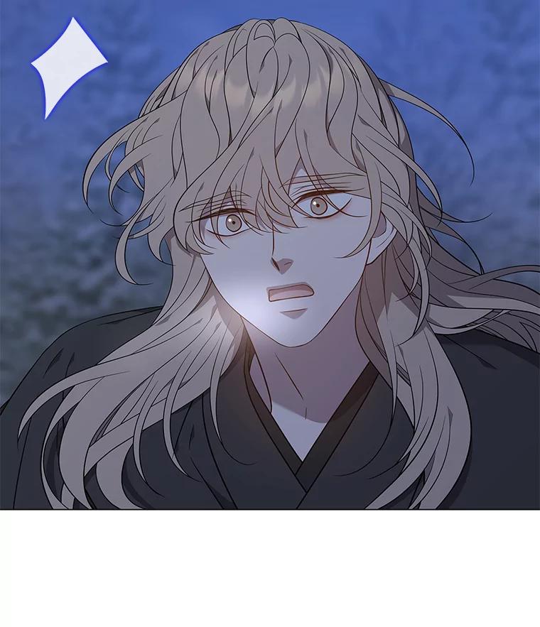 《魅惑狐狸》67.狐狸血的副作用 第98页