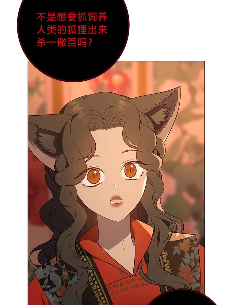 《魅惑狐狸》67.狐狸血的副作用 第6页