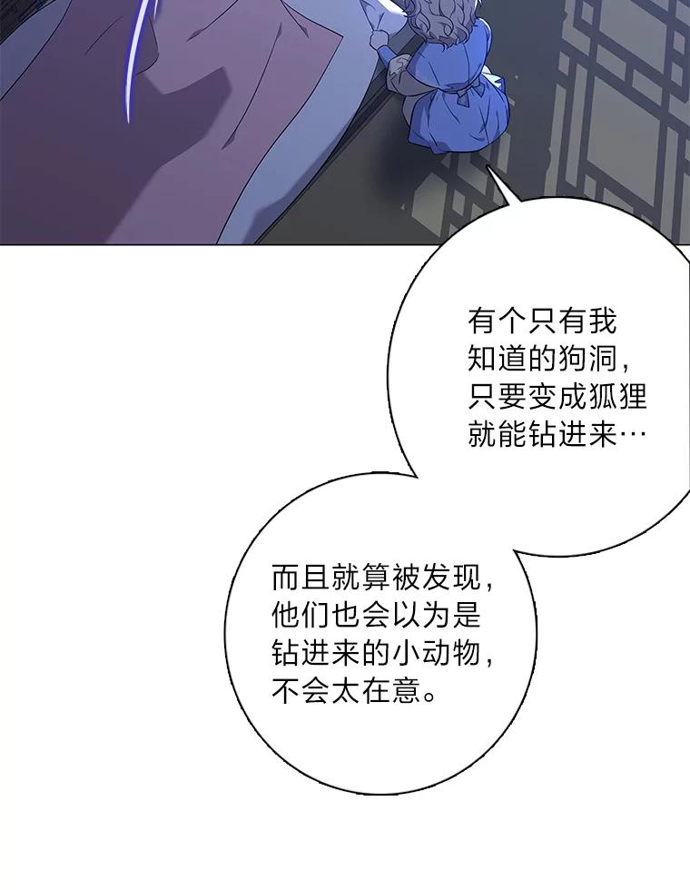 《魅惑狐狸》68.纸包不住火 第2页