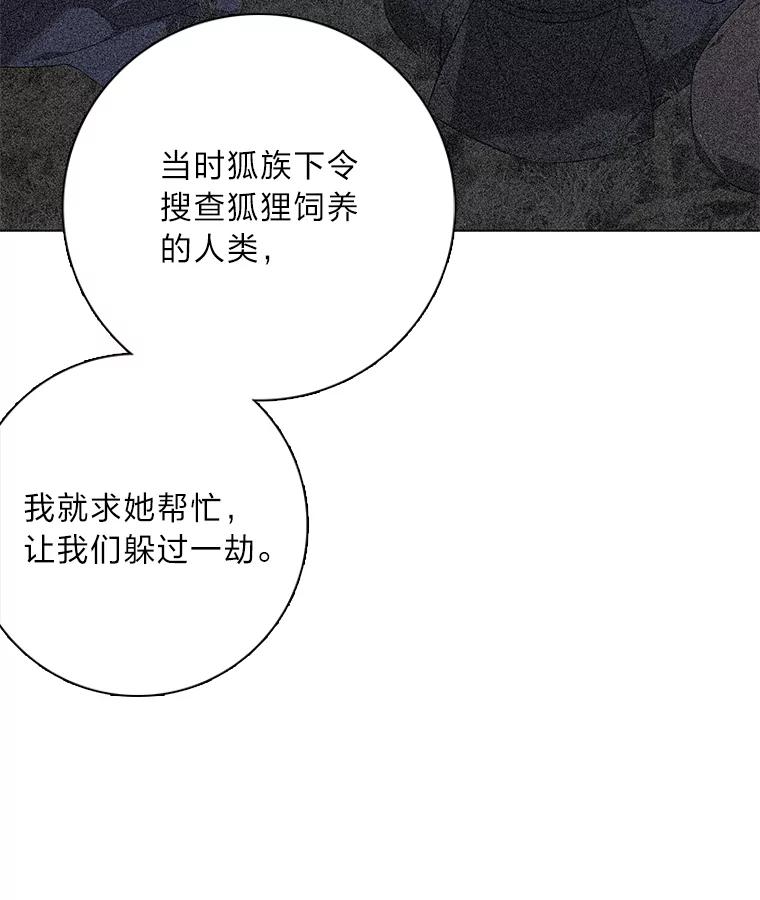 《魅惑狐狸》68.纸包不住火 第96页