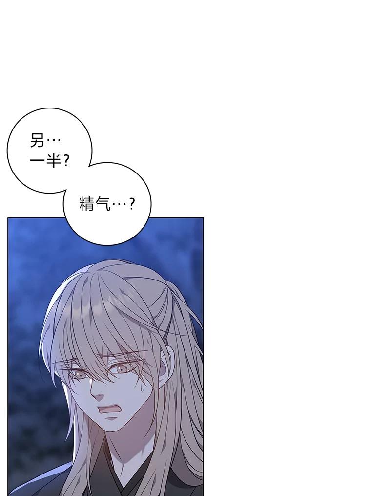 《魅惑狐狸》68.纸包不住火 第43页