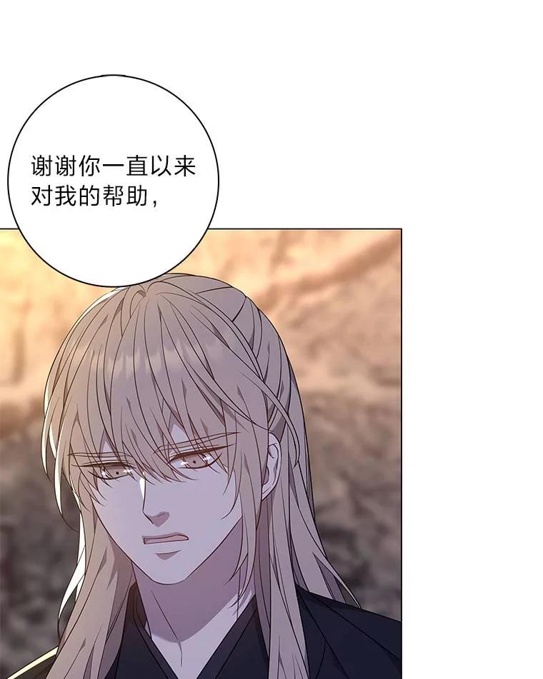 《魅惑狐狸》69.修罗的表白 第86页