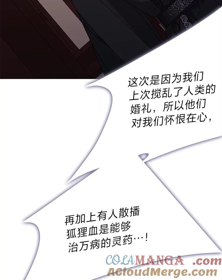《魅惑狐狸》69.修罗的表白 第13页
