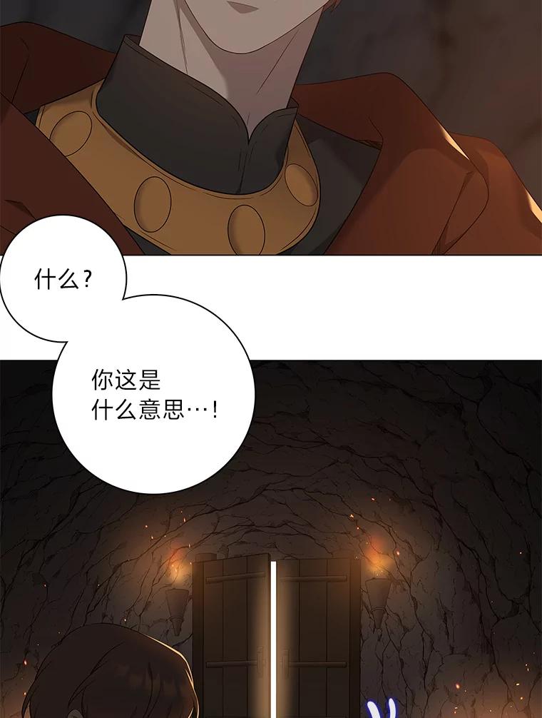 《魅惑狐狸》71.嫌犯 第99页