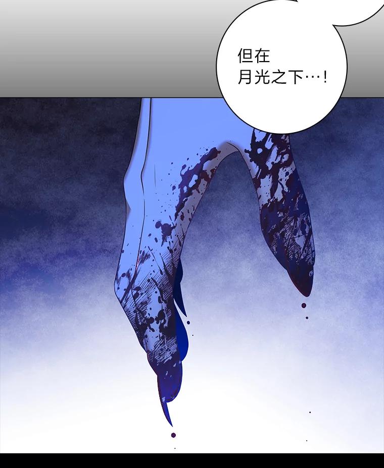 《魅惑狐狸》71.嫌犯 第43页