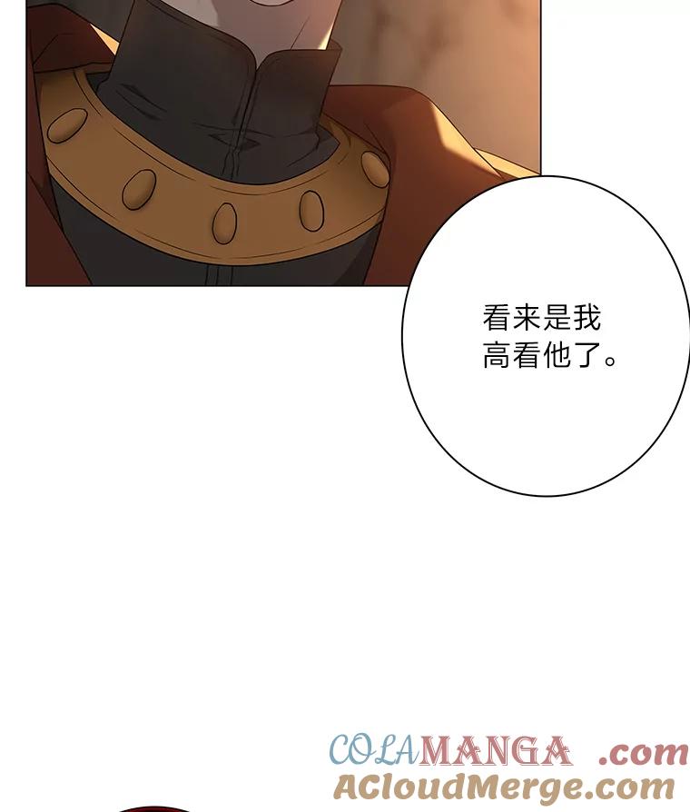 《魅惑狐狸》71.嫌犯 第85页