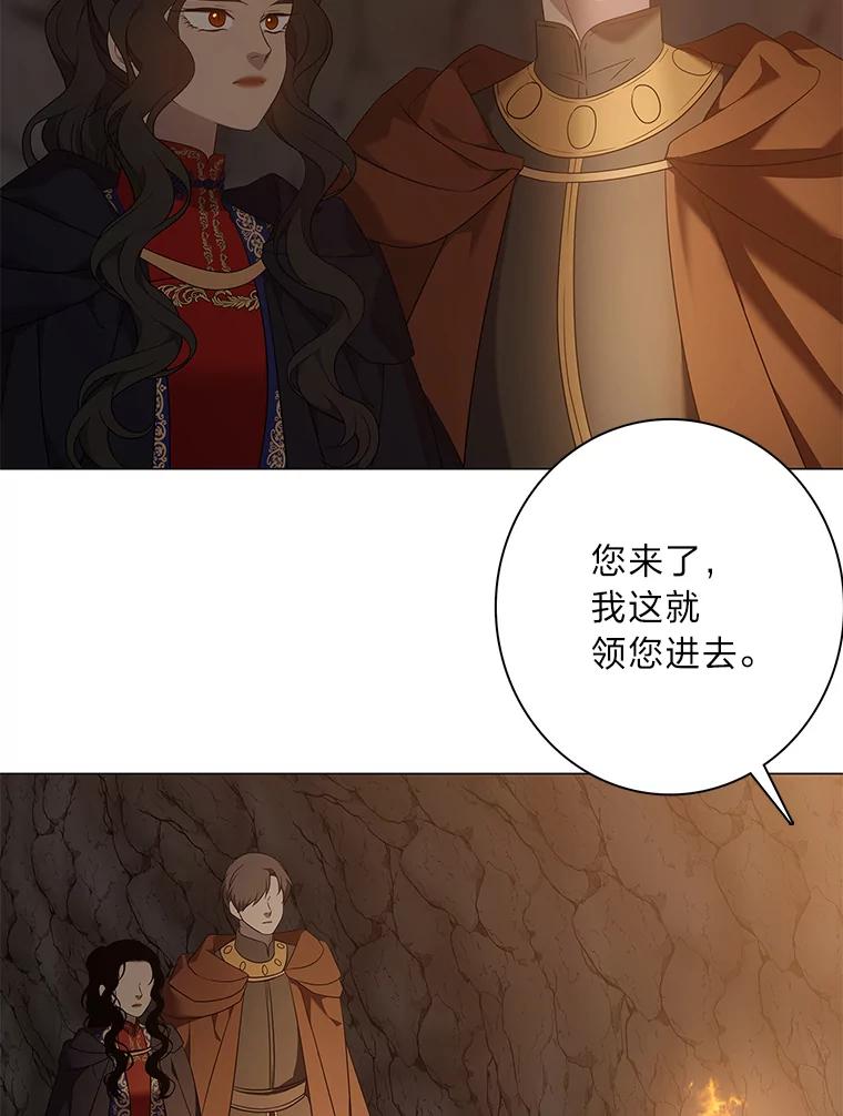《魅惑狐狸》71.嫌犯 第102页