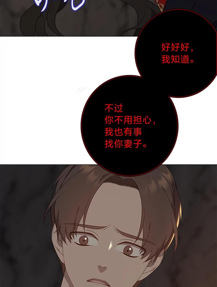 《魅惑狐狸》71.嫌犯 第98页