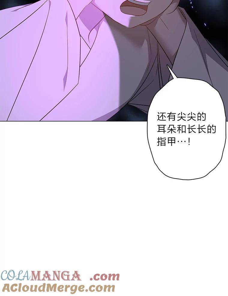 《魅惑狐狸》71.嫌犯 第25页