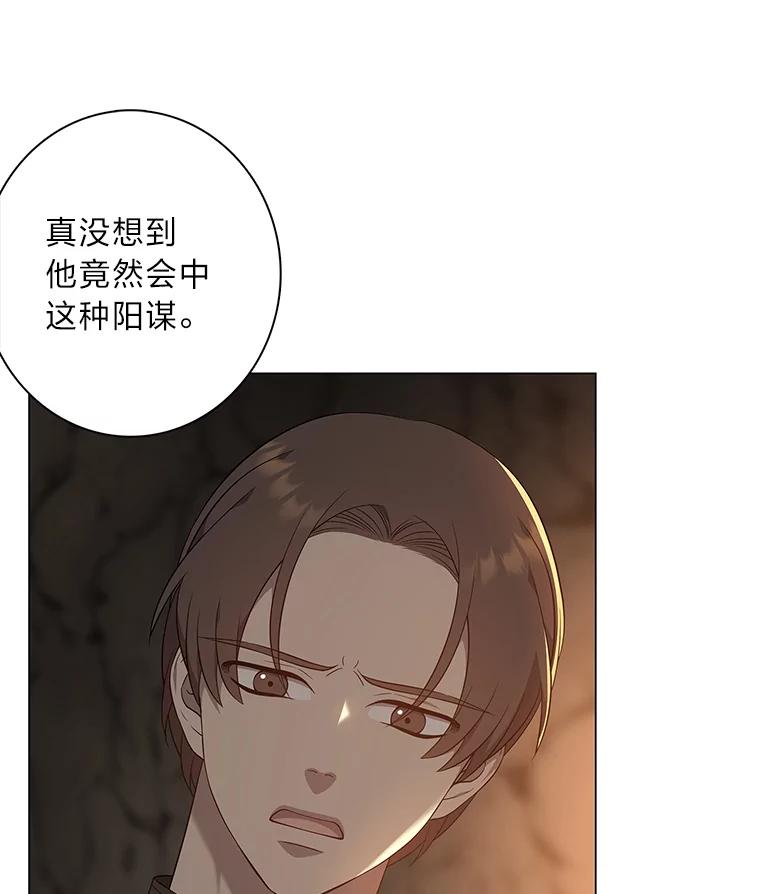 《魅惑狐狸》71.嫌犯 第84页