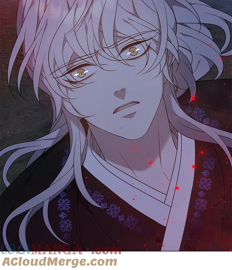 《魅惑狐狸》71.嫌犯 第73页