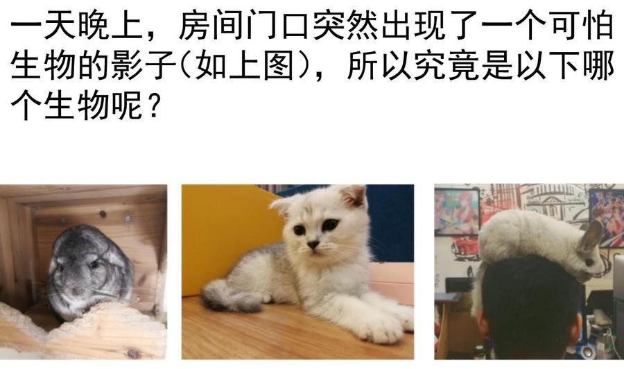 今生只想做咸鱼 第124话 亡命鸳鸯？ 第44页