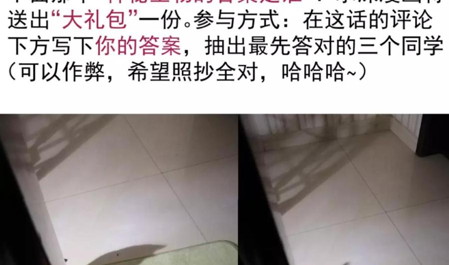 今生只想做咸鱼 第126话 昏睡的小白 第44页