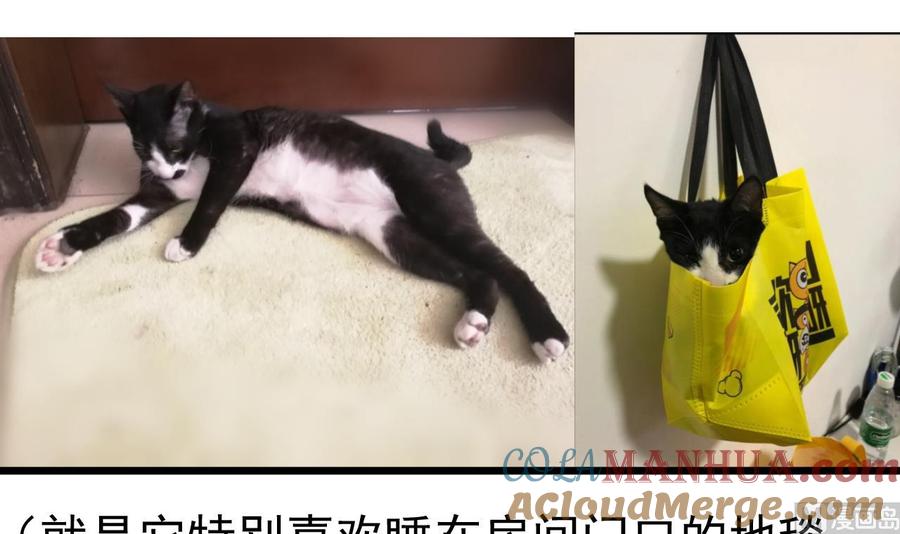 今生只想做咸鱼 第126话 昏睡的小白 第46页