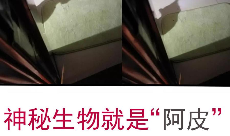 今生只想做咸鱼 第126话 昏睡的小白 第45页