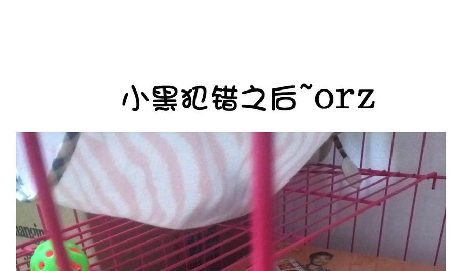 今生只想做咸鱼 第47话 人质 第41页