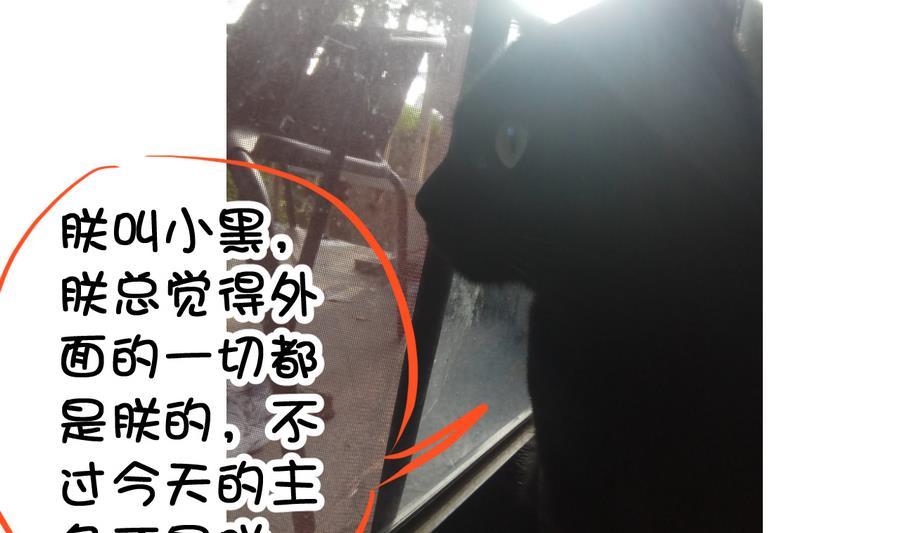 今生只想做咸鱼 第53话 瑞王被尾随 第41页
