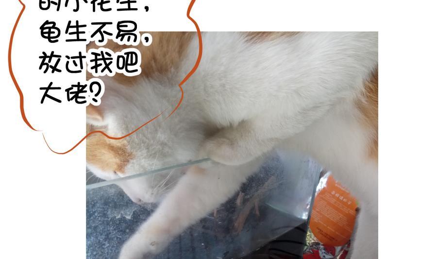 今生只想做咸鱼 第53话 瑞王被尾随 第45页