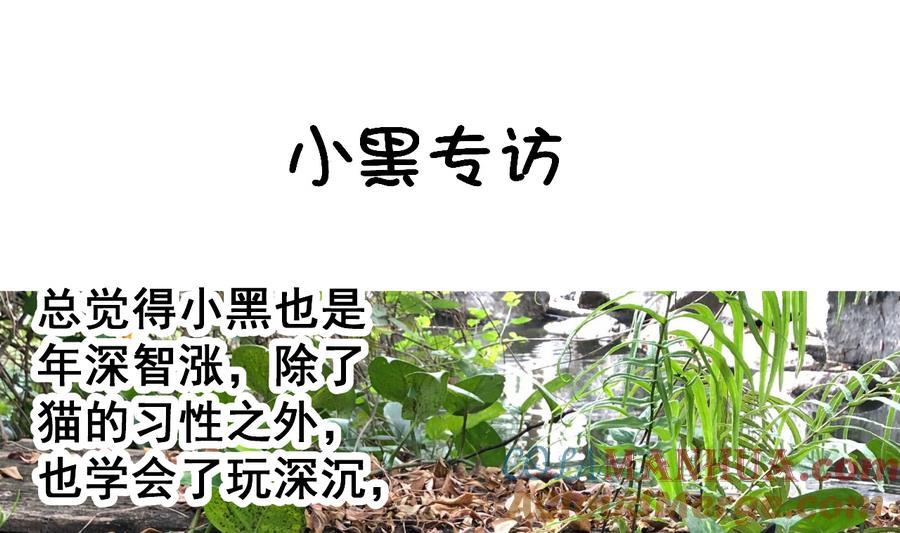 今生只想做咸鱼 第60话 小羽上任 第35页