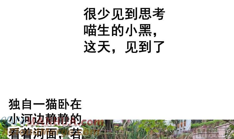 今生只想做咸鱼 第60话 小羽上任 第37页