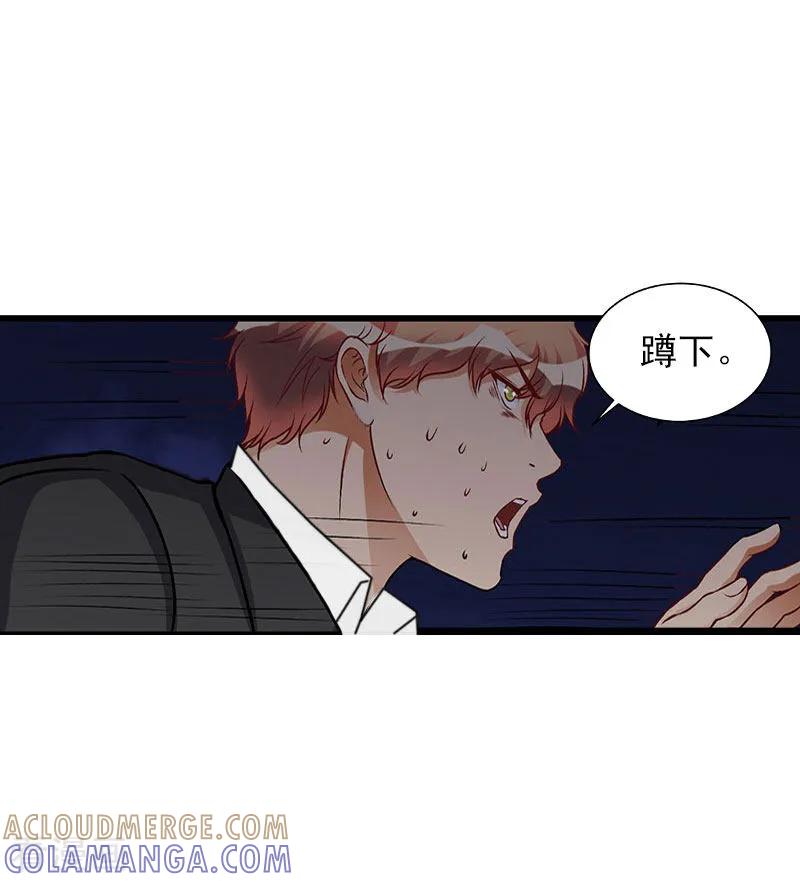 《亿万豪门：首席总裁深深宠》第26话 一切的开端 第29页