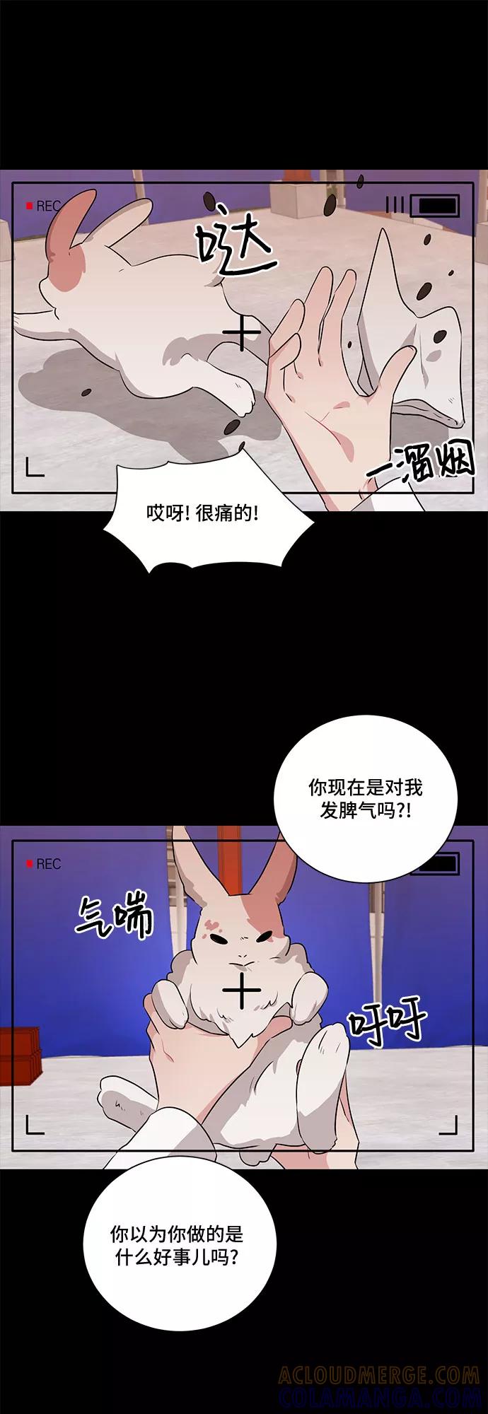 《今天也汪汪》第13话 第19页
