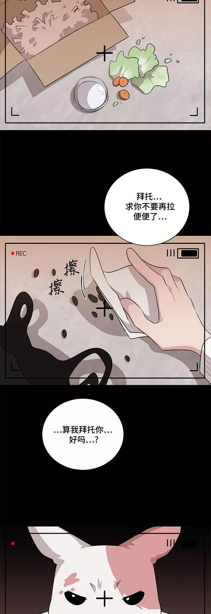 《今天也汪汪》第13话 第17页