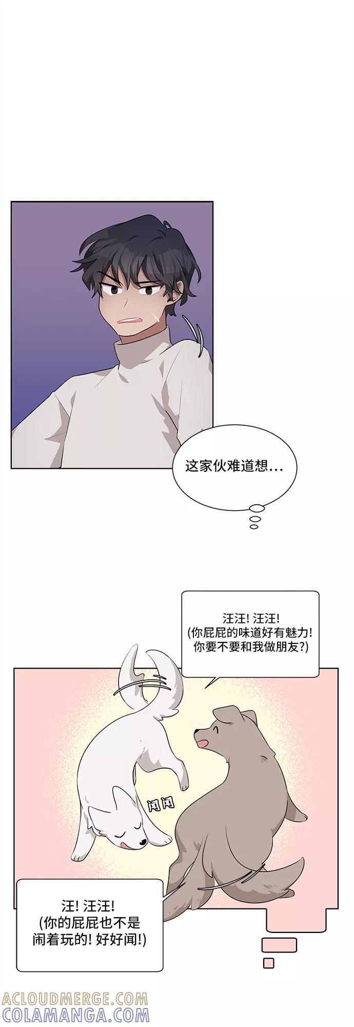 《今天也汪汪》第3话 第4页