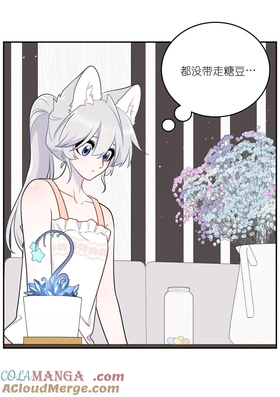 我的食物看起来很可爱 194 不够大胆 第7页