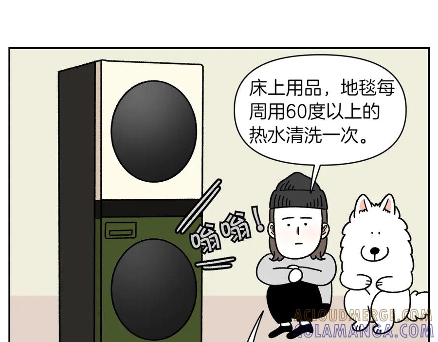 《我的狗子叫棉花》第57话 消灭家里的灰尘 第34页