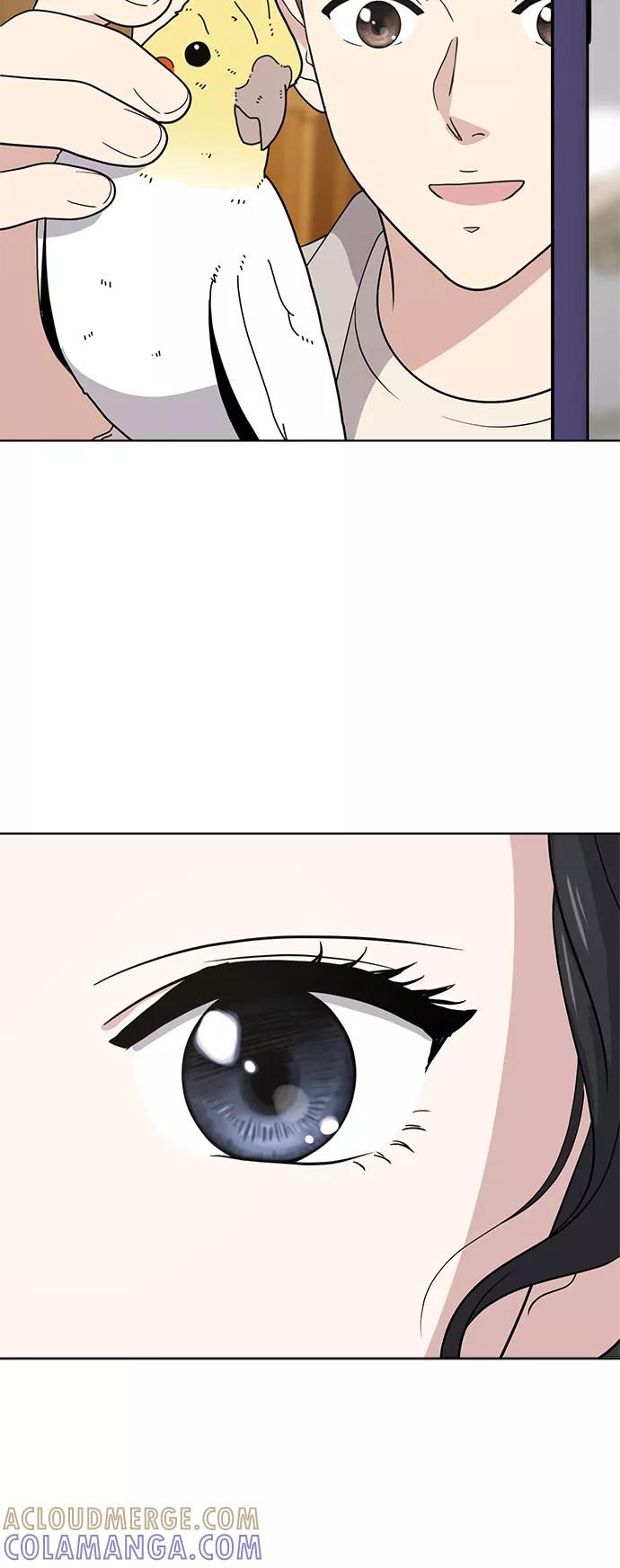 《保护刁蛮大小姐》第36话 第37页