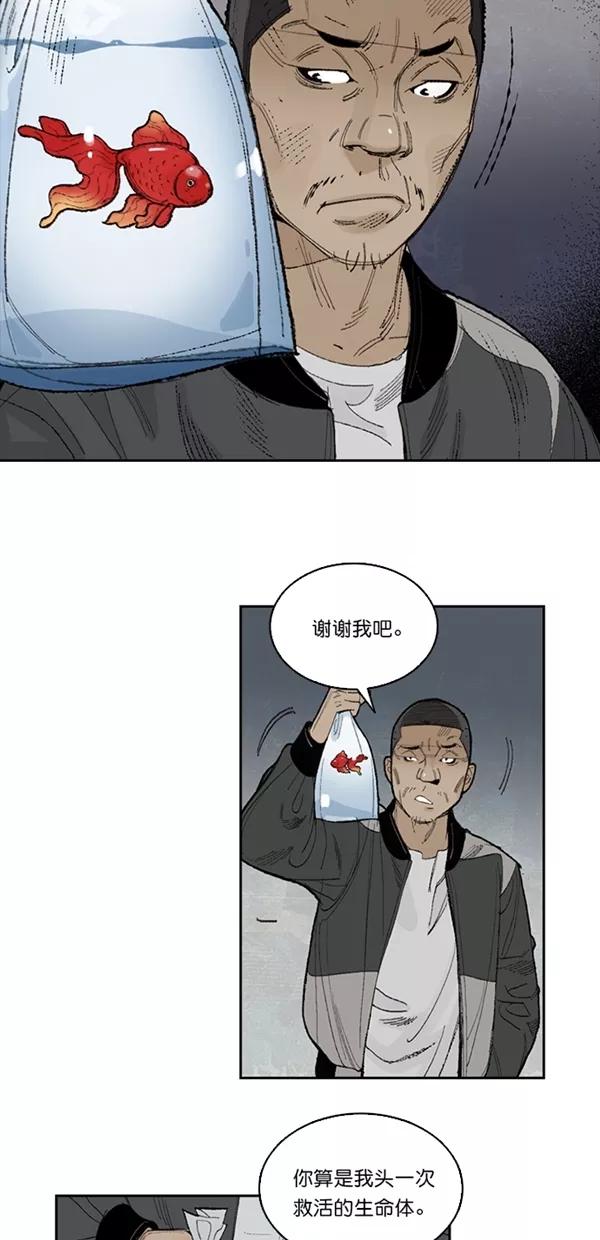 《金鱼》第1话 第15页