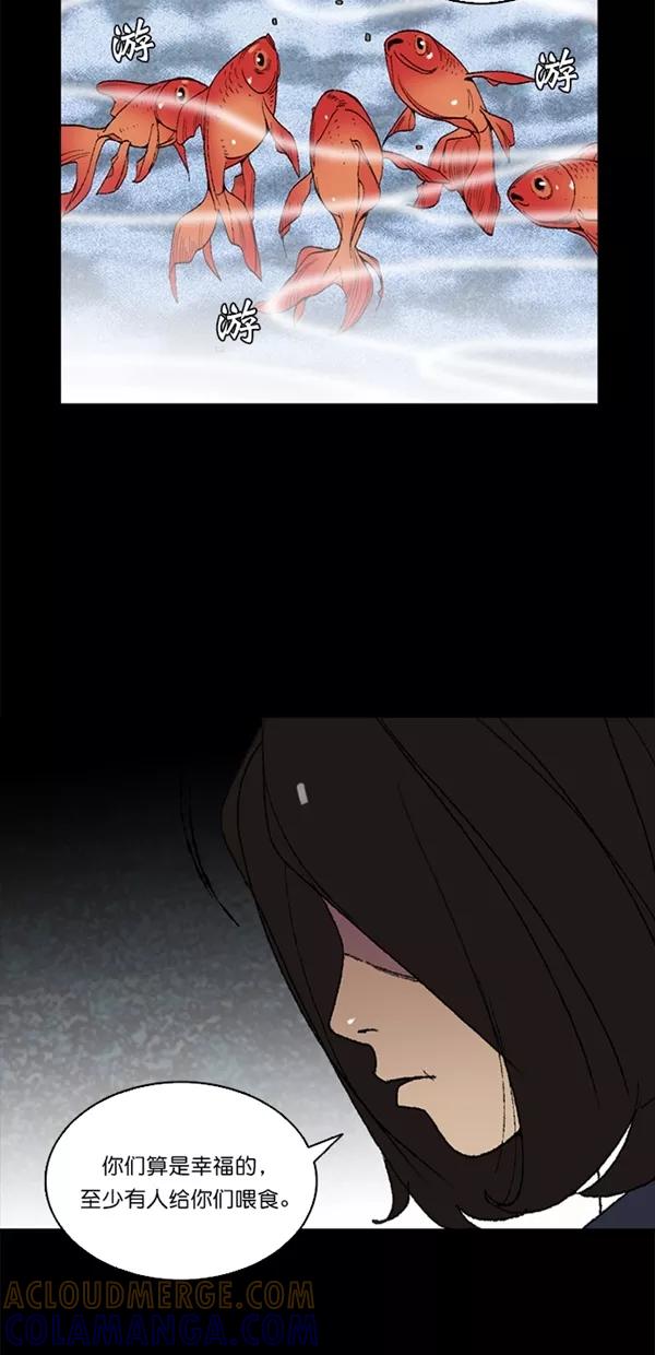 《金鱼》第3话 第7页