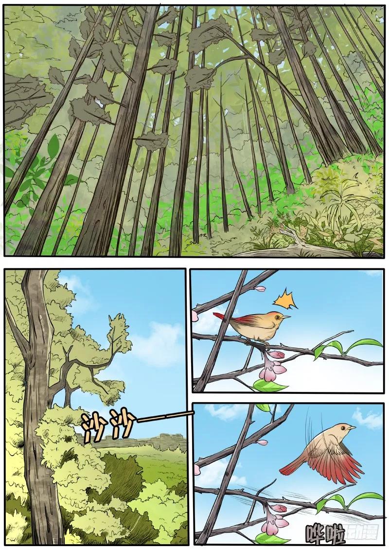 《熊猫侠齐天》师傅啊师傅 第2页