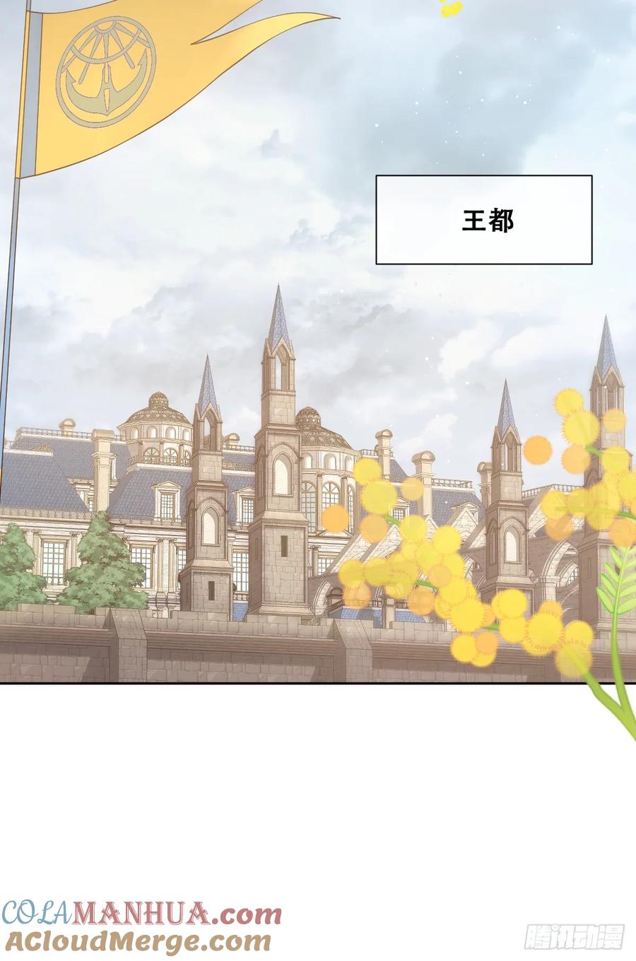 《祭品新娘把恶龙拐跑啦！》我们大婚过了？ 第13页