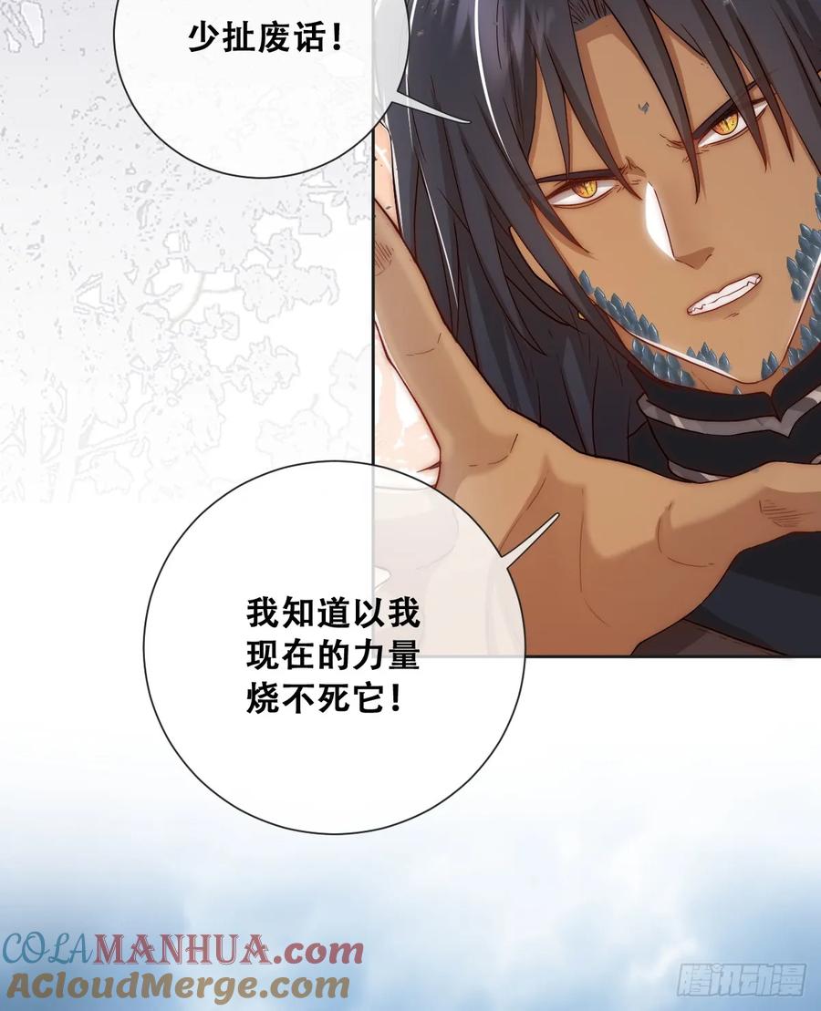 《祭品新娘把恶龙拐跑啦！》以我为火炬 第46页