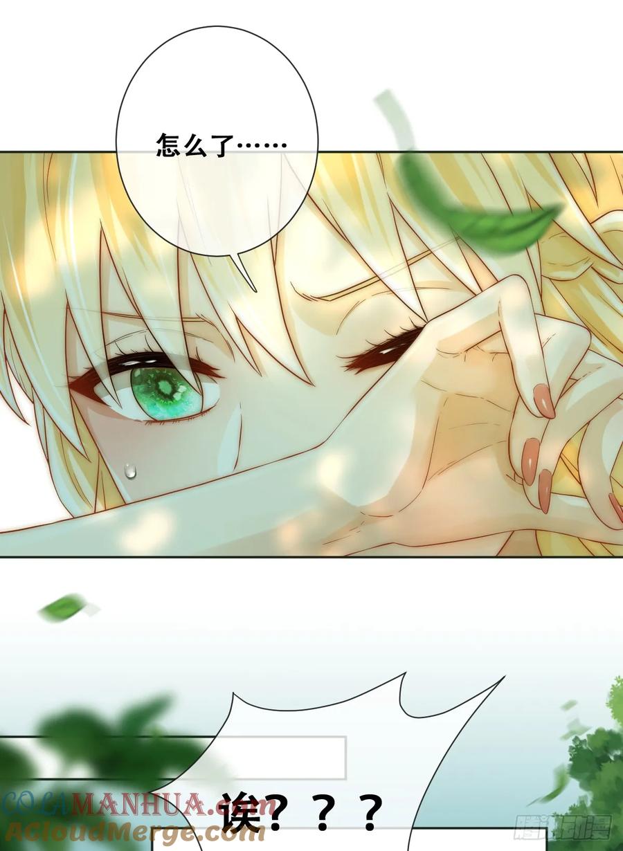 《祭品新娘把恶龙拐跑啦！》最后的半神树人 第46页