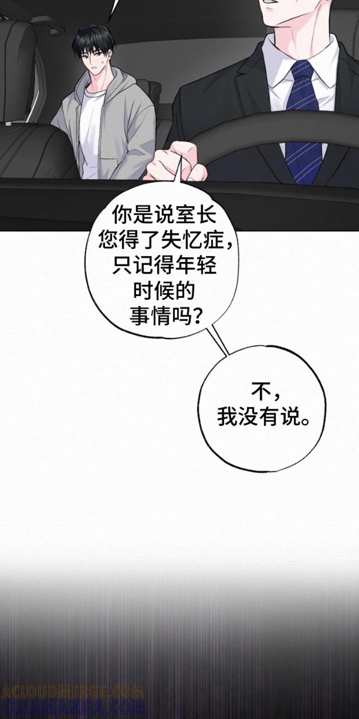 《给记忆添香》第13章：回家 第3页