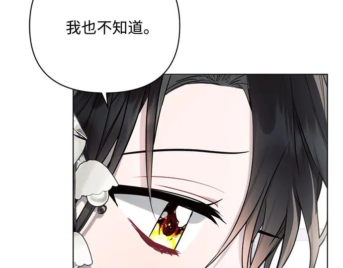 《黑暗皇女：雅什泰洛迪》第45话 第234页